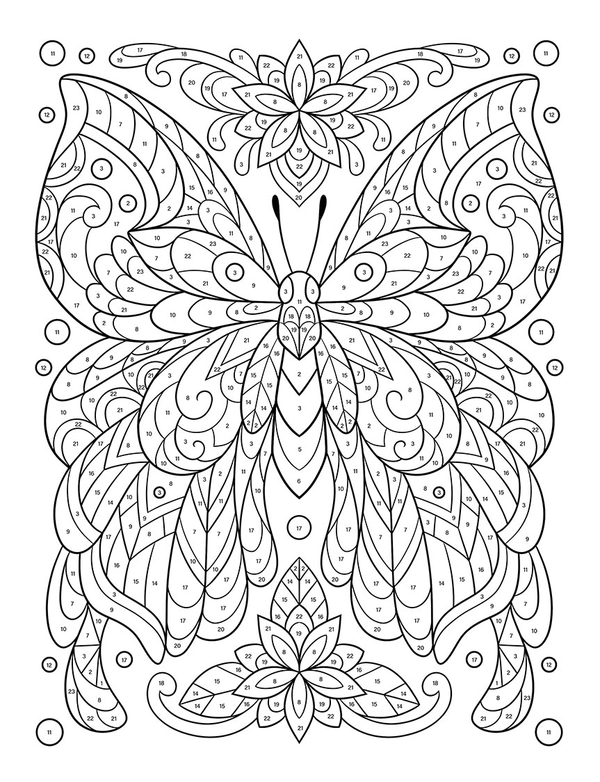 Color By Number Butterflies Coloring Book - 5