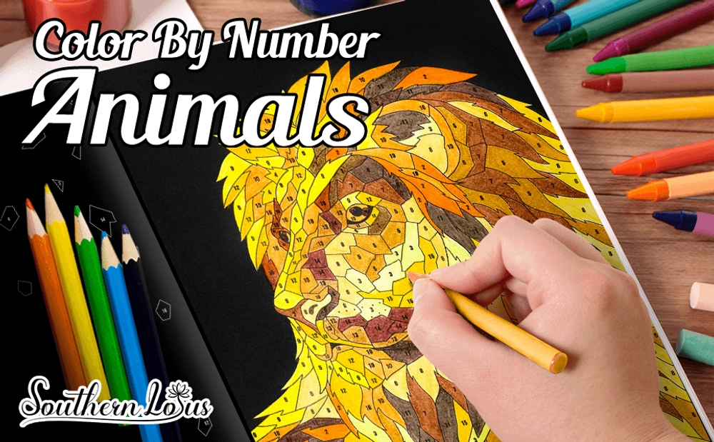 Color by Number Animals Coloring Book - content plus - 0