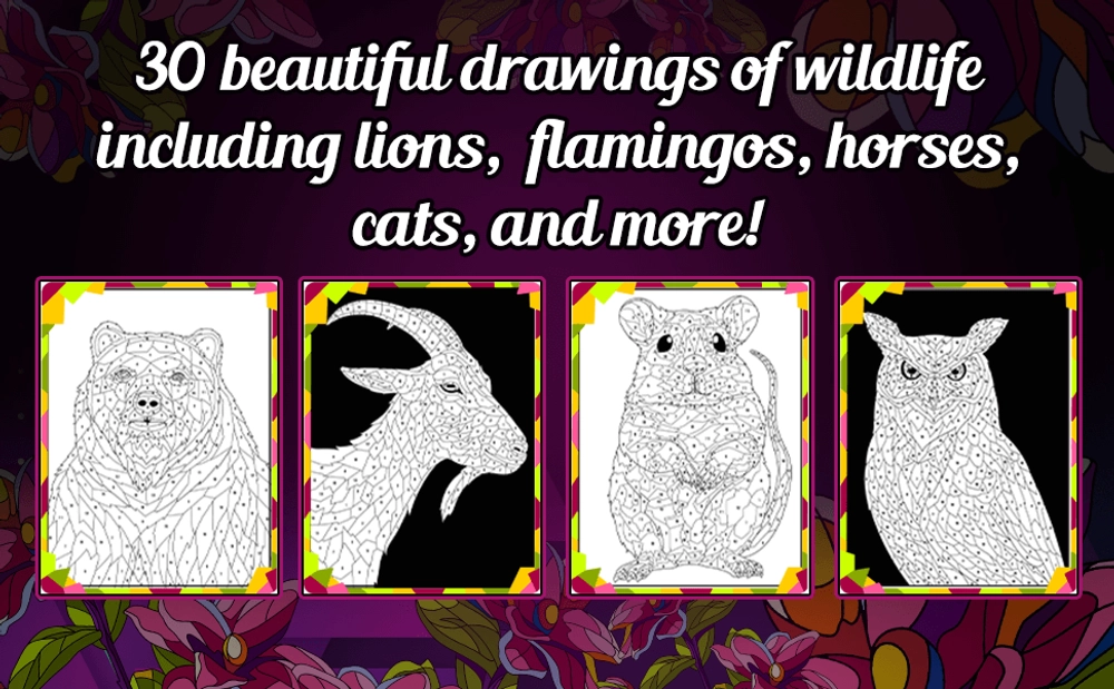 Color by Number Animals Coloring Book - content plus - 2
