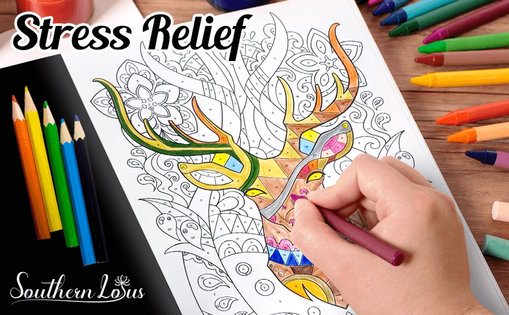 Color By Number Stress Relief Coloring Book - content plus - 0