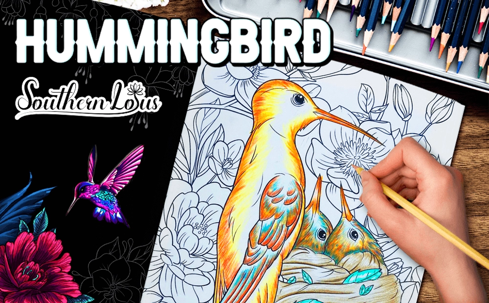 Hummingbird Coloring Book - content plus - 0