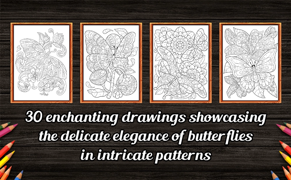 Color By Number Butterflies Coloring Book - content plus - 2