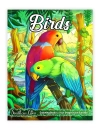 Birds Coloring Book - thumbnail - 1