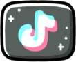 Southern Lotus TikTok About Us
