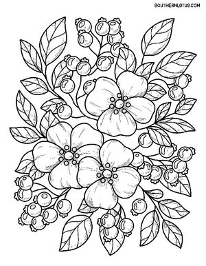 Free Color By Number Flowers Coloring Book - 2