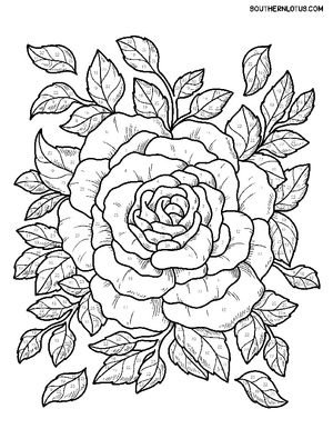 Free Color By Number Flowers Coloring Book - 6