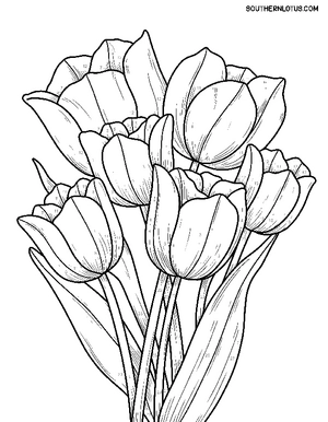 Free Color By Number Flowers Coloring Book - 9